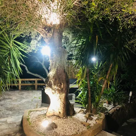 Magnifique Avec Cheminee * Porto-Vecchio (Corsica)