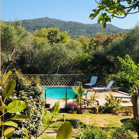 Magnifique Avec Piscine Villa Porto Vecchio