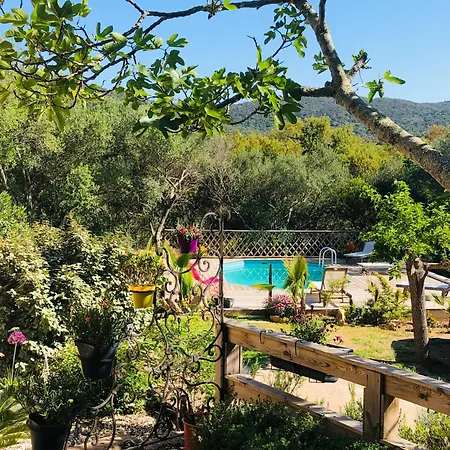 Villa Magnifique Avec Cheminee Porto-Vecchio (Corsica)