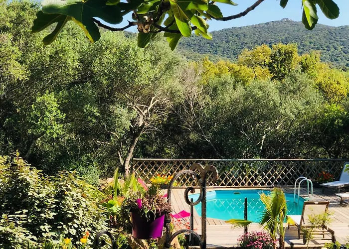 Vila Magnifique Avec Piscine